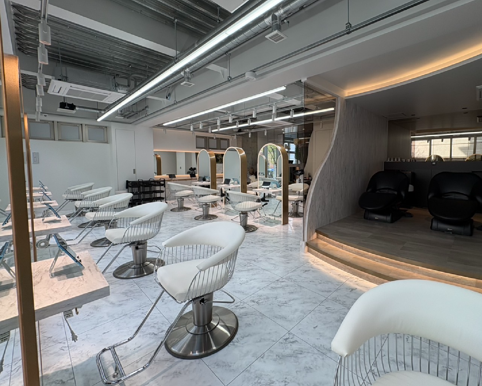 Lond Lupinus