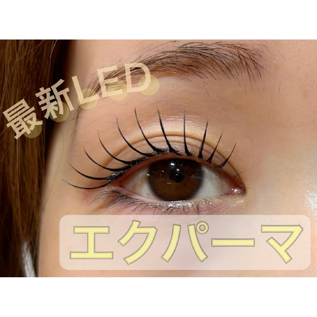 最新★パリエク(エクパーマ)LEDエクステ付け放題