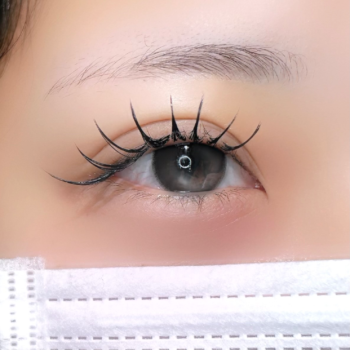 🌙🐈‍⬛Flatlash【160本】束感コーティング付き