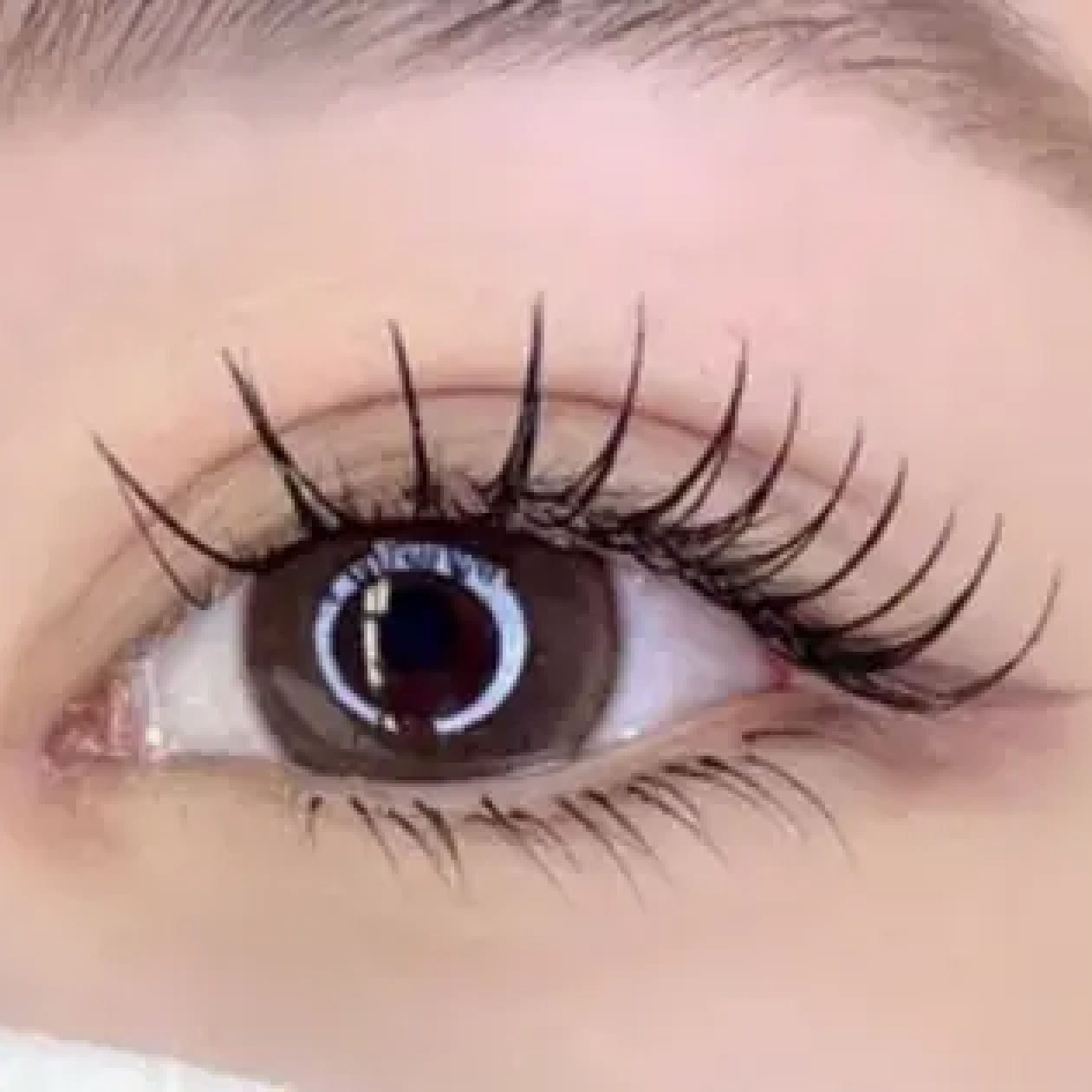🐈‍⬛🤍カシミヤ120​〜​140本【オフ込み・美容成分配合コーティング付】