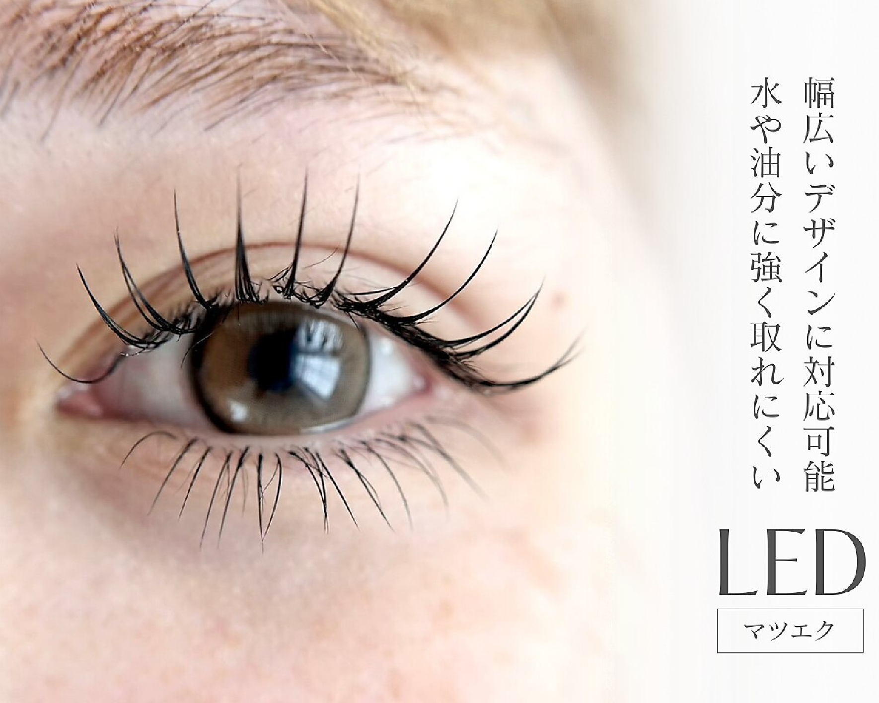 fig eye [まつげパーマ/パリジェンヌ/マツエク/眉毛/アイブロウ]