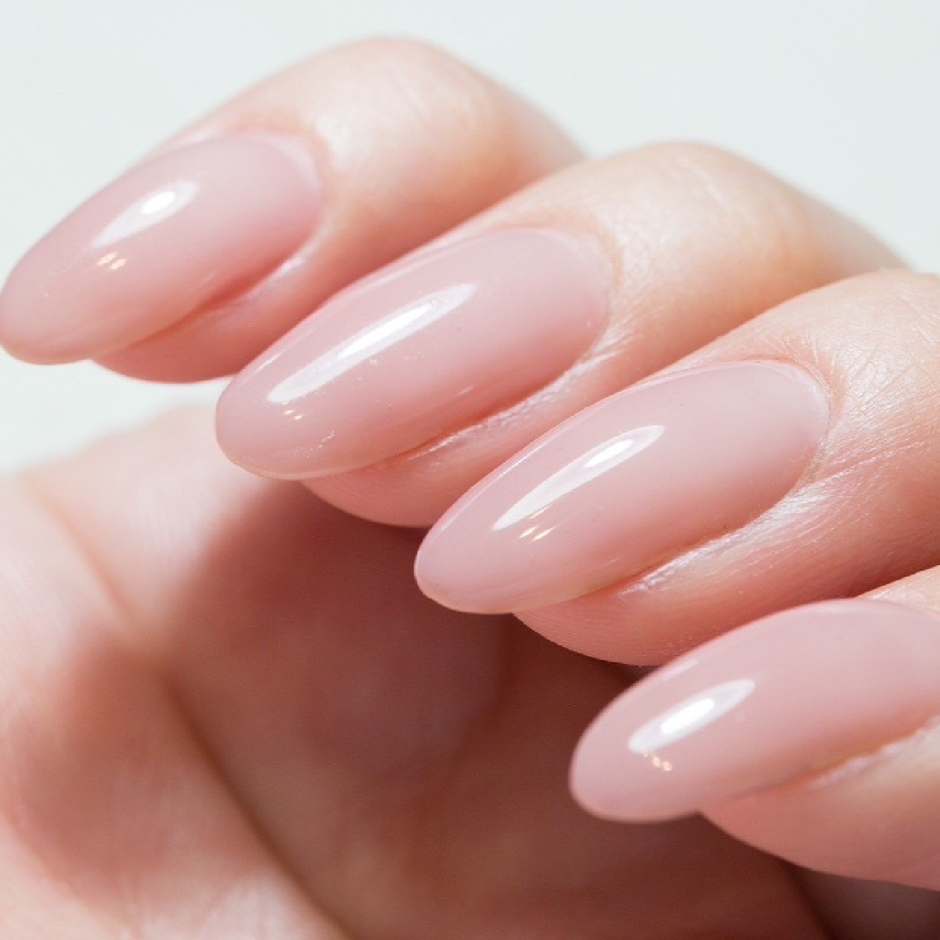 ワンカラー【オフ無料】