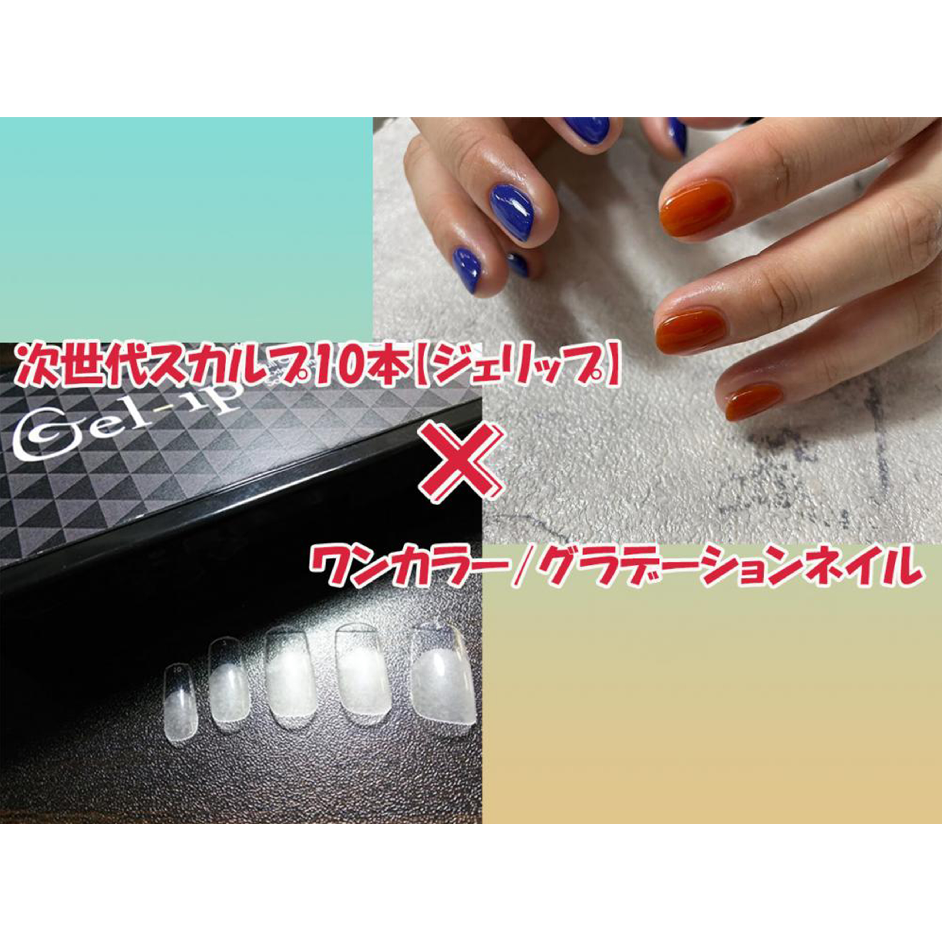 【新スカルプ】☆ジェリップ×ワンカラー/グラデーションネイル