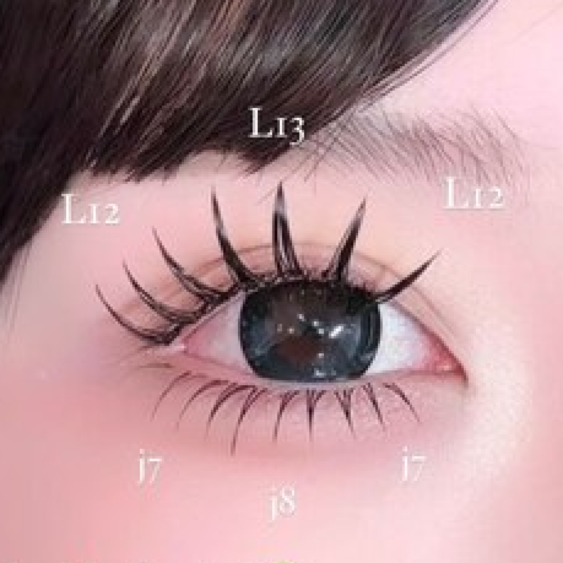 【新規/マツエク】ダブルフラット70束¥8000→¥6580