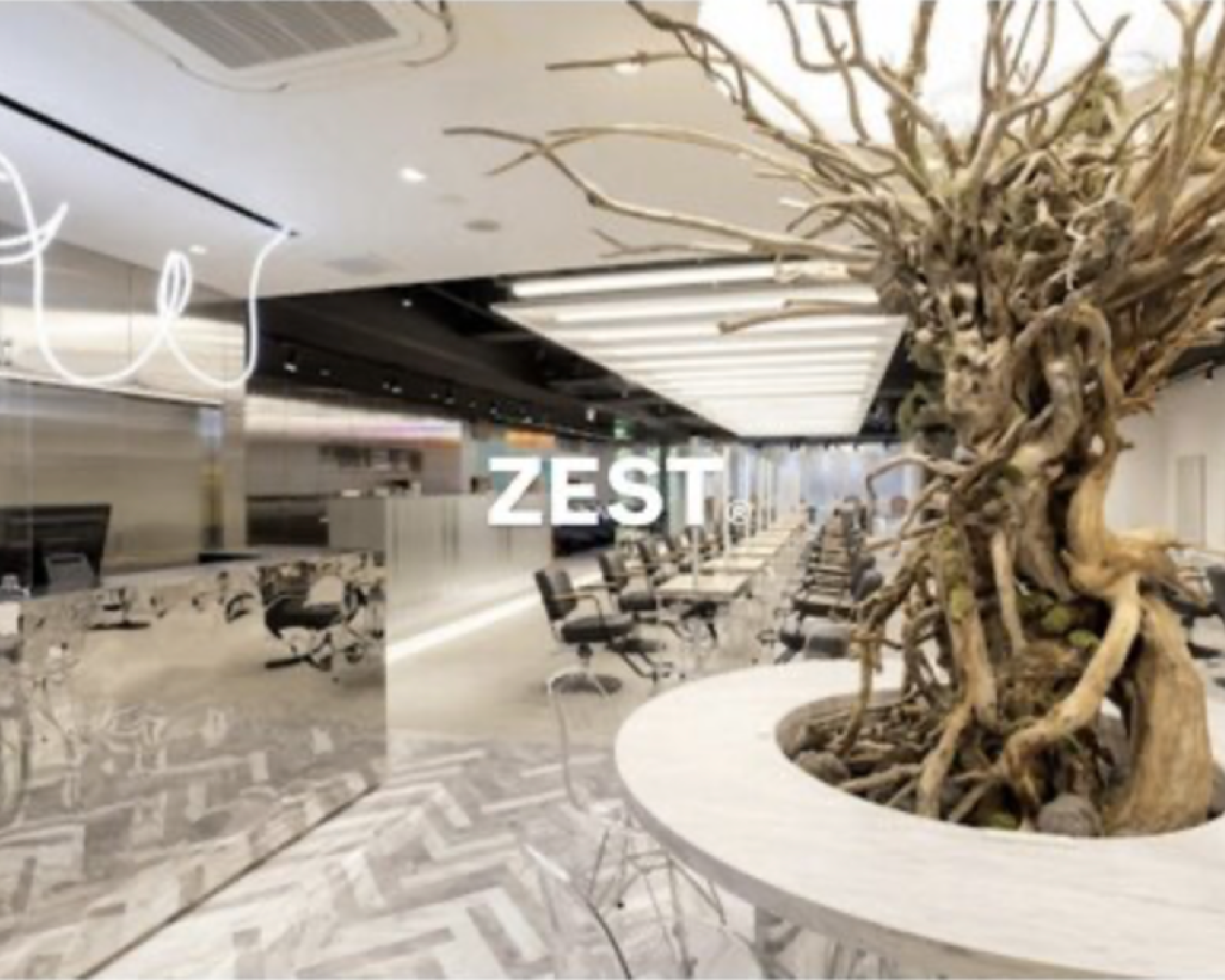 ZEST八王子店