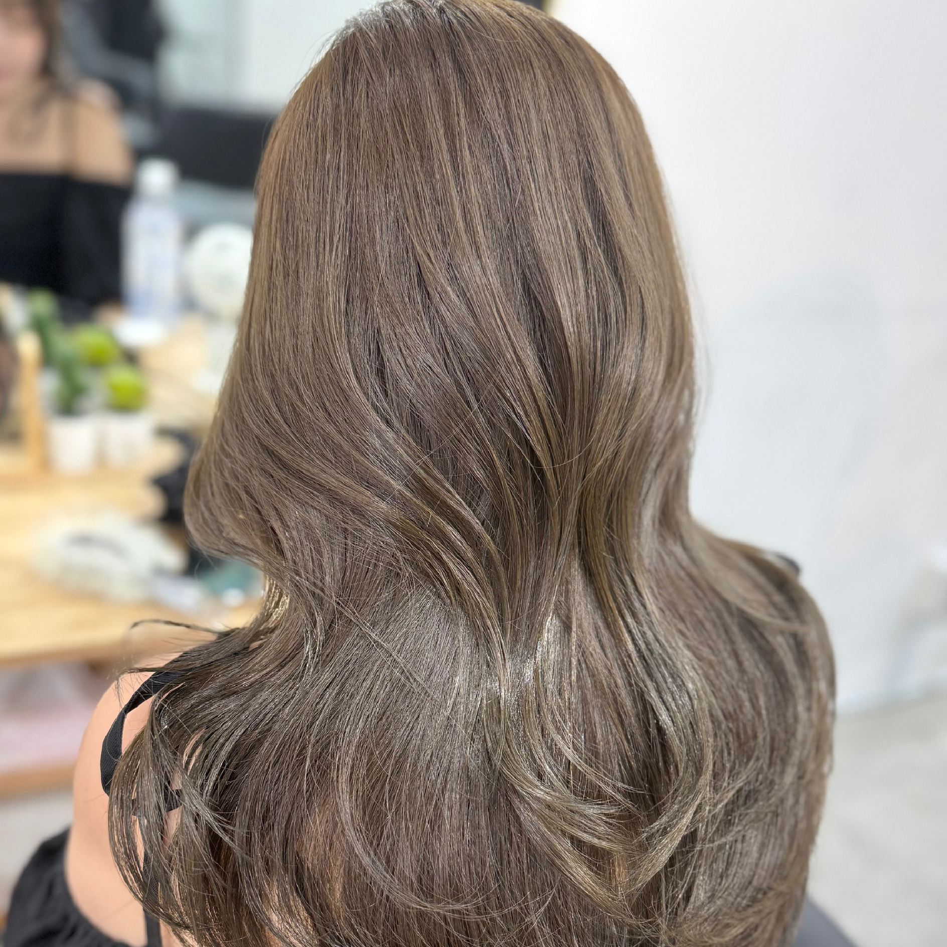 （カット）＋（カラー）＋（トリートメント）