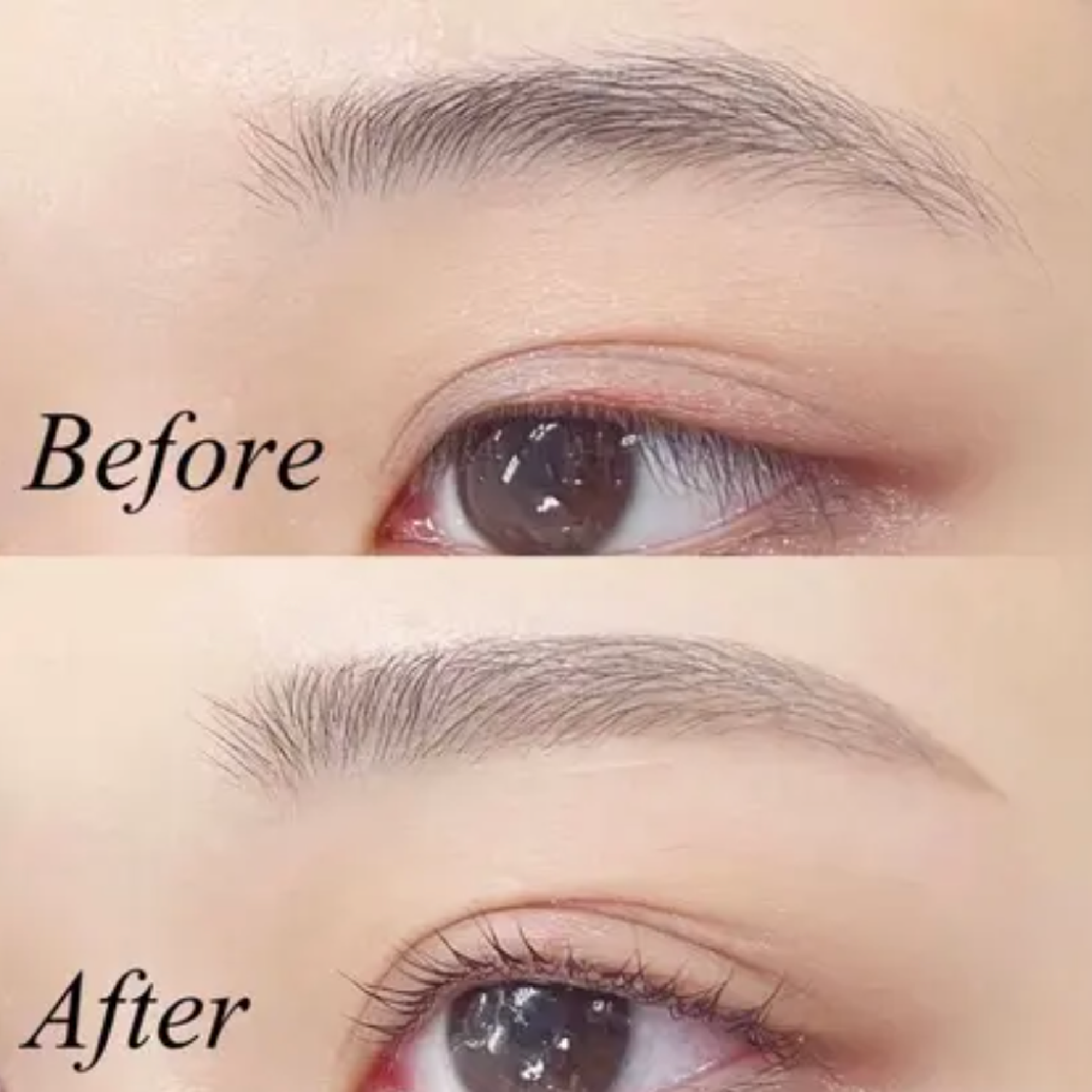 学割U24《持続力⭐️眉毛パーマ》美眉アイブロウWAX＋ハリウッドブロウリフト
