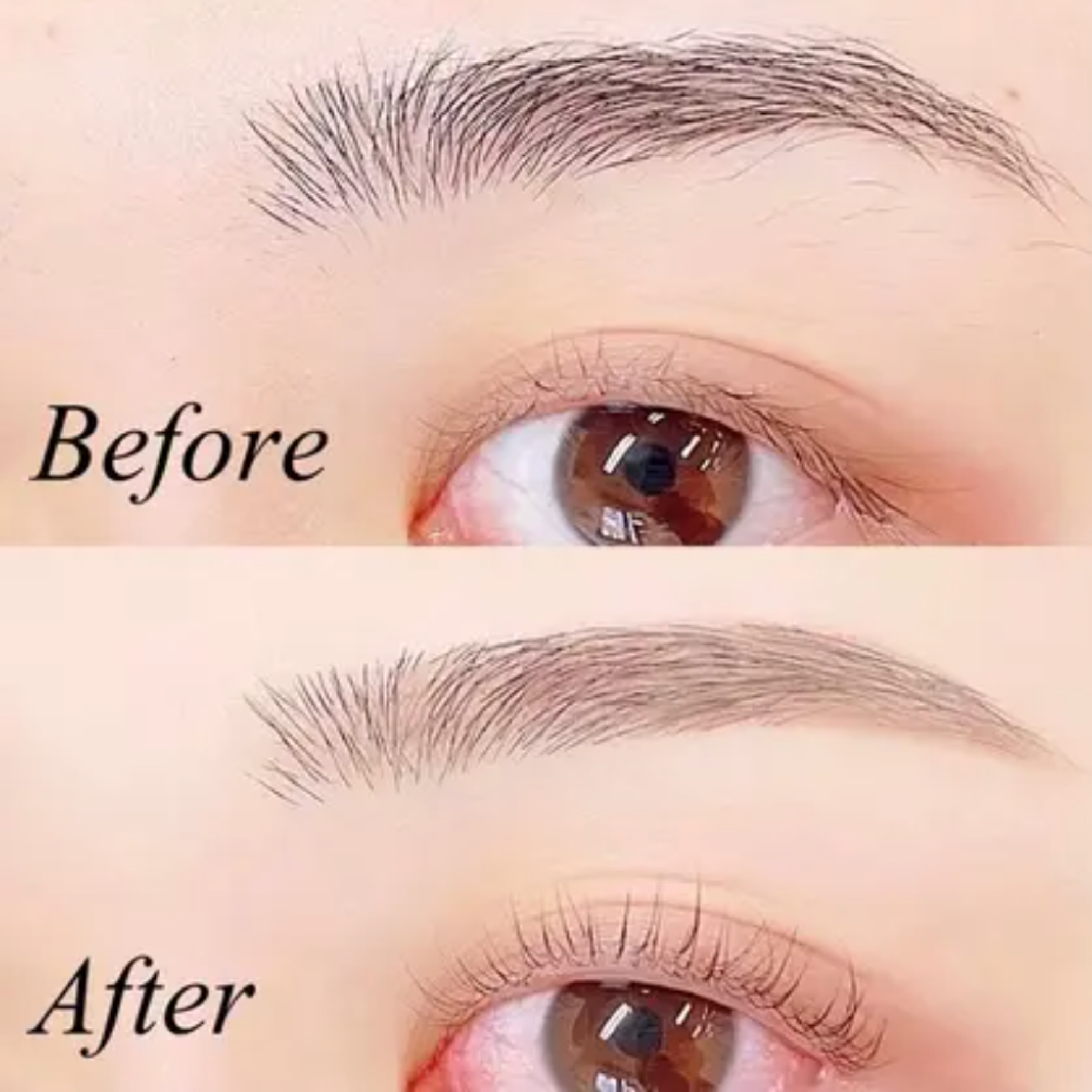 学割U24🎓《ナチュラル眉🌱》美眉アイブロウWAX＋間引き (メイク込）