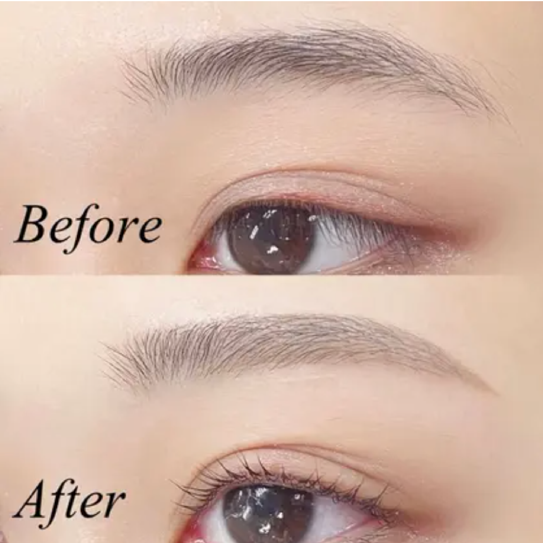 学割U24《持続力⭐️眉毛パーマ》美眉アイブロウWAX＋ハリウッドブロウリフト