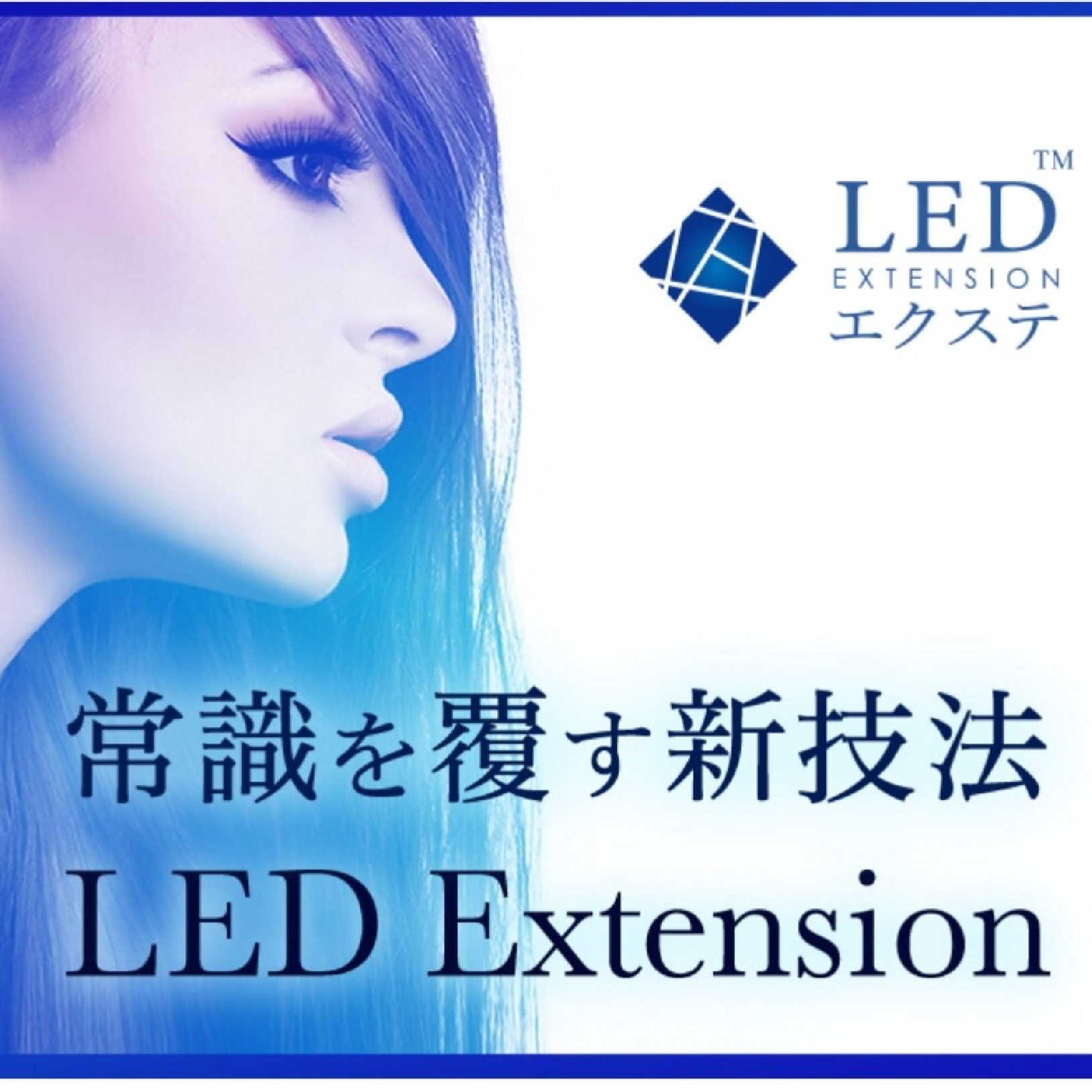 LED120本(ブラックorクリアコーティング)