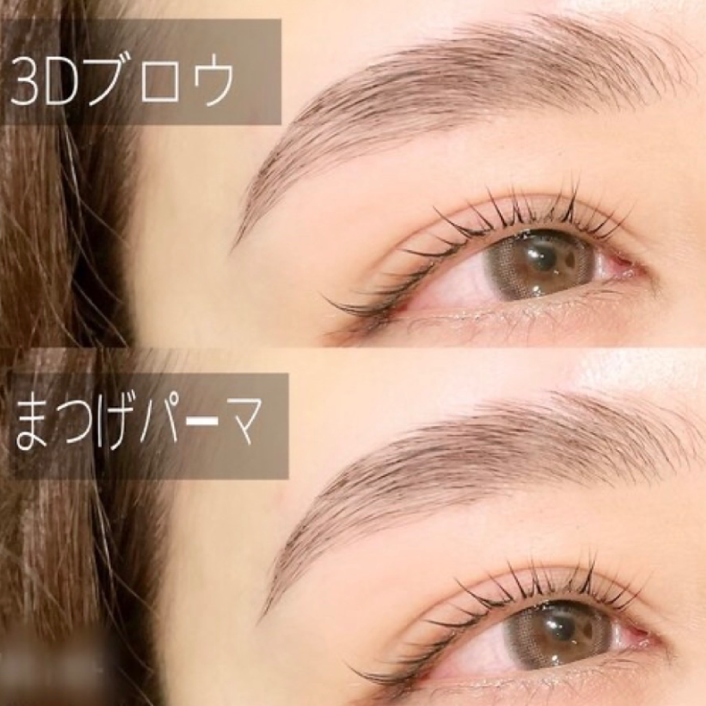 ■眉毛/まつげパーマ【3DブロウリフトWax付＋まつげパーマ 】
