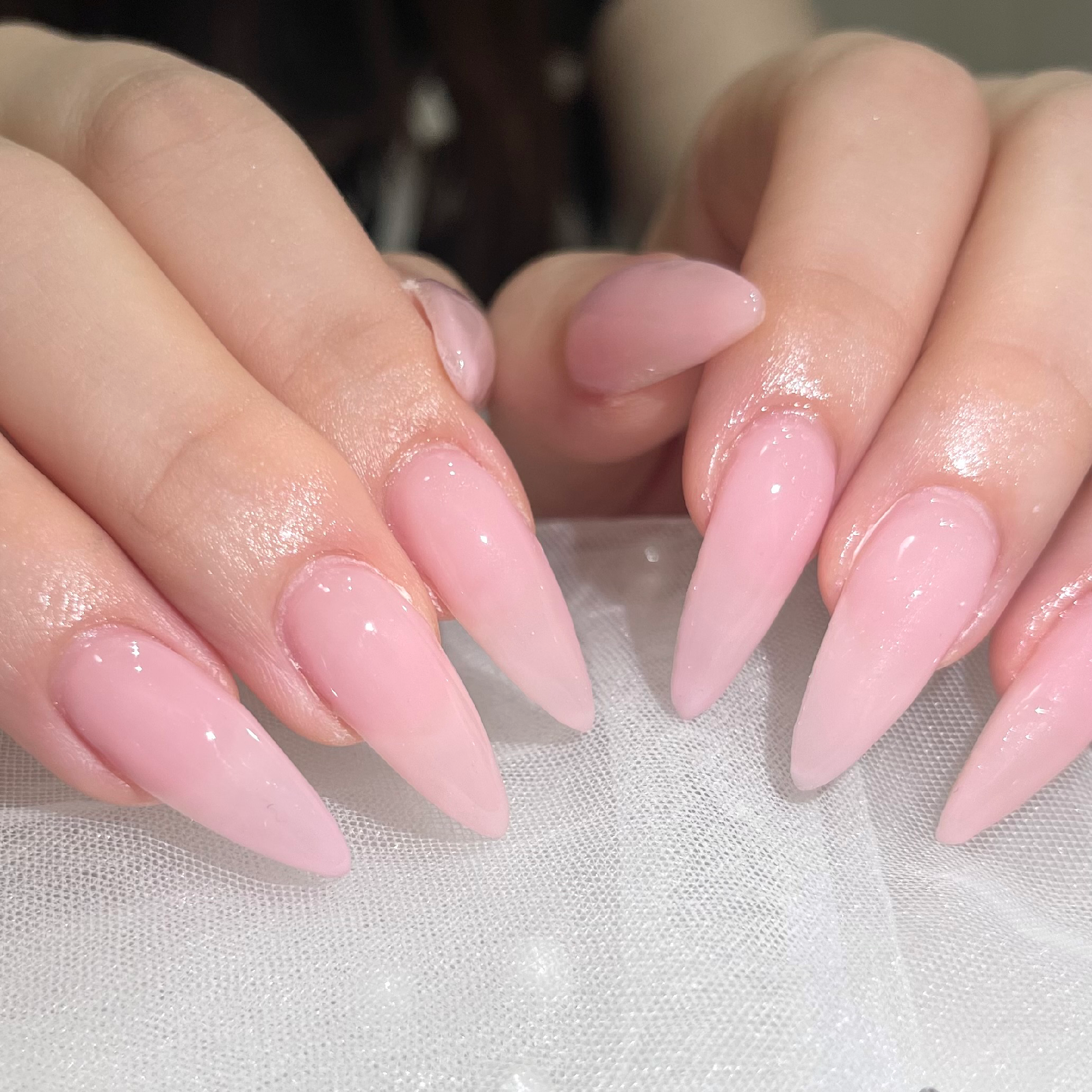 【オフなし】ワンカラーorラメグラデーション🦢🤍