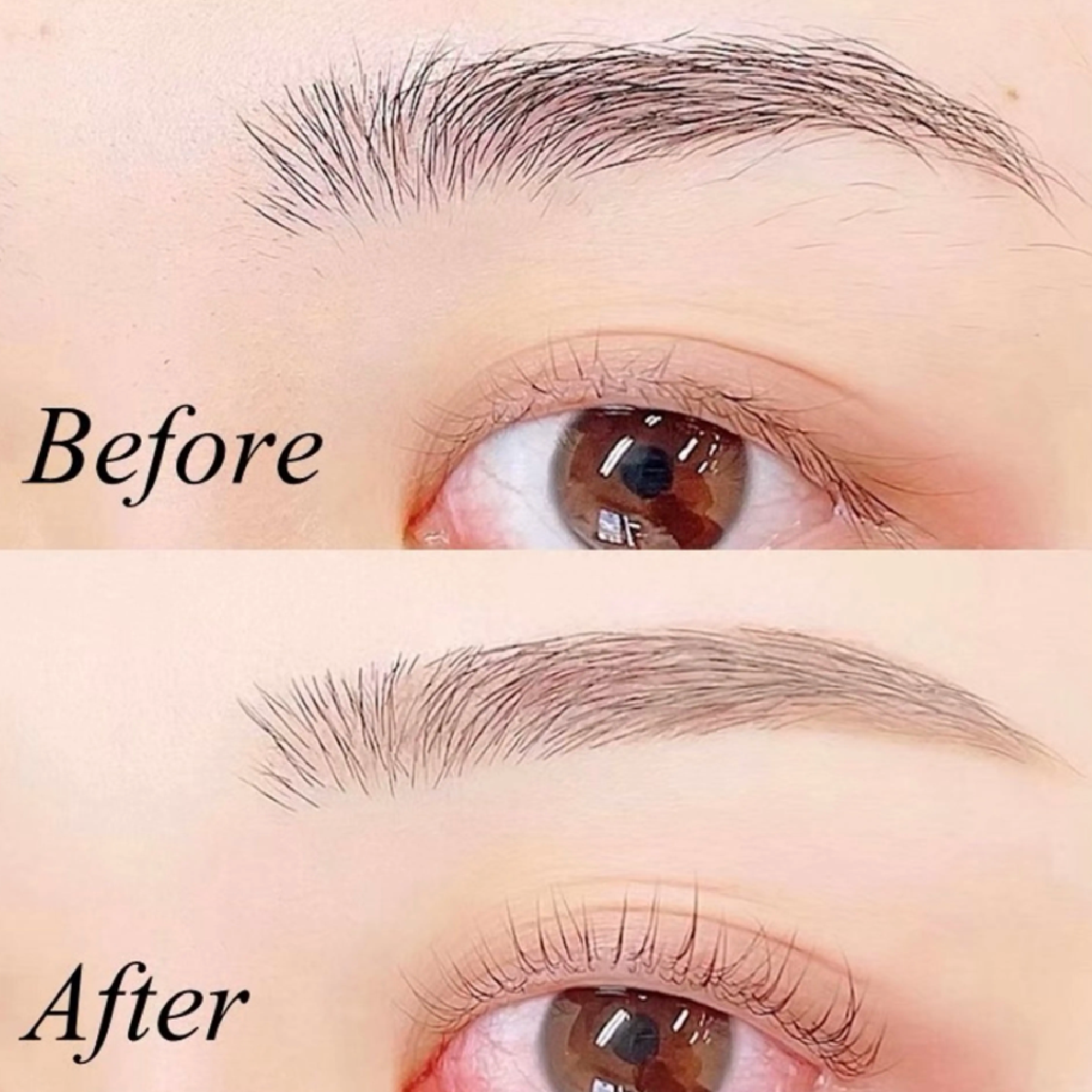 学割U24🎓《ナチュラル眉🌱》美眉アイブロウWAX＋間引き (メイク込）