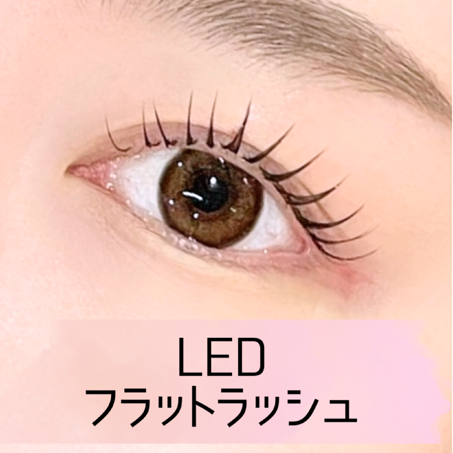 【束感】［低刺激＋持ちアップ！］ LEDフラットラッシュ 60本