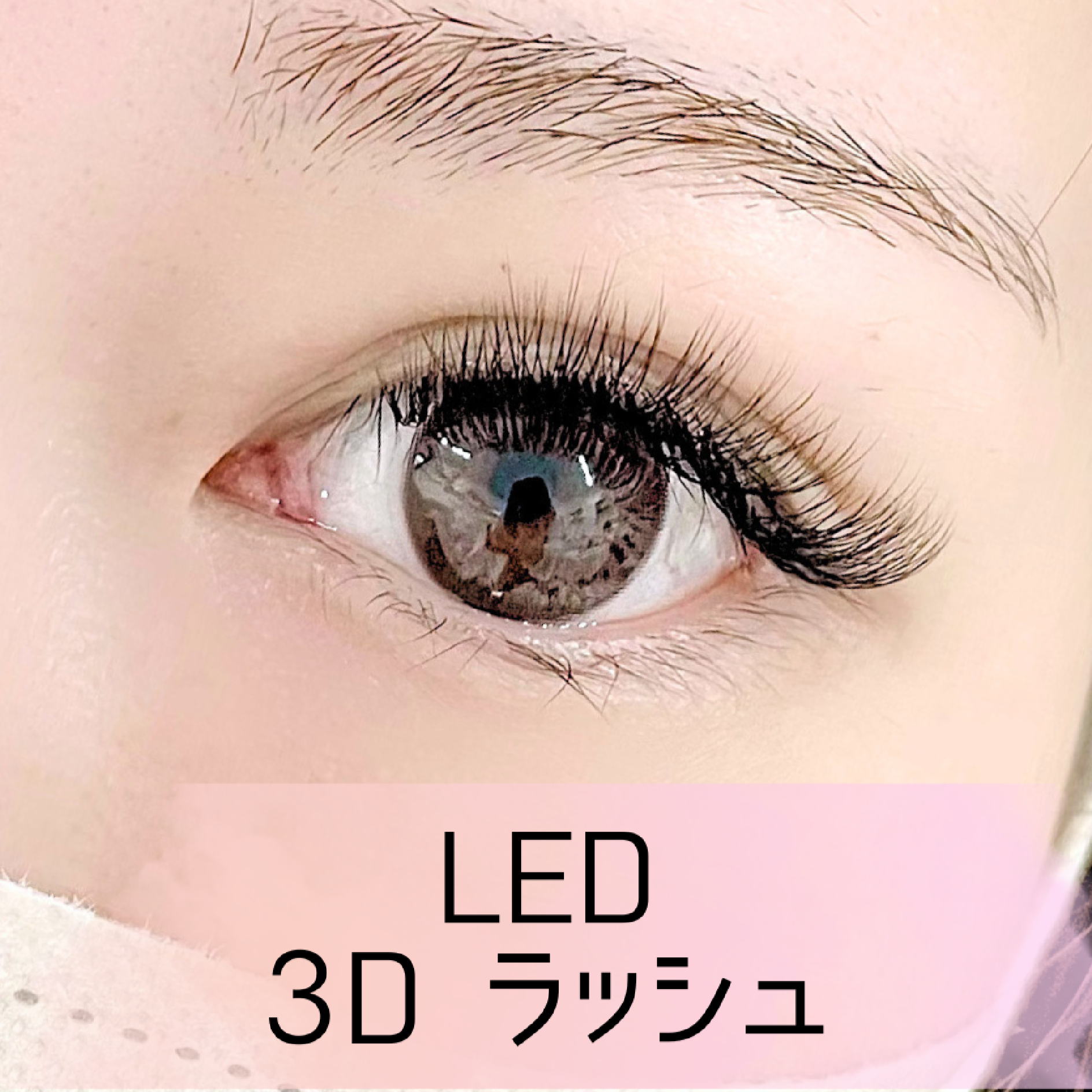 【ふわふわまつ毛】LEDマツエク・3Dラッシュ　60束