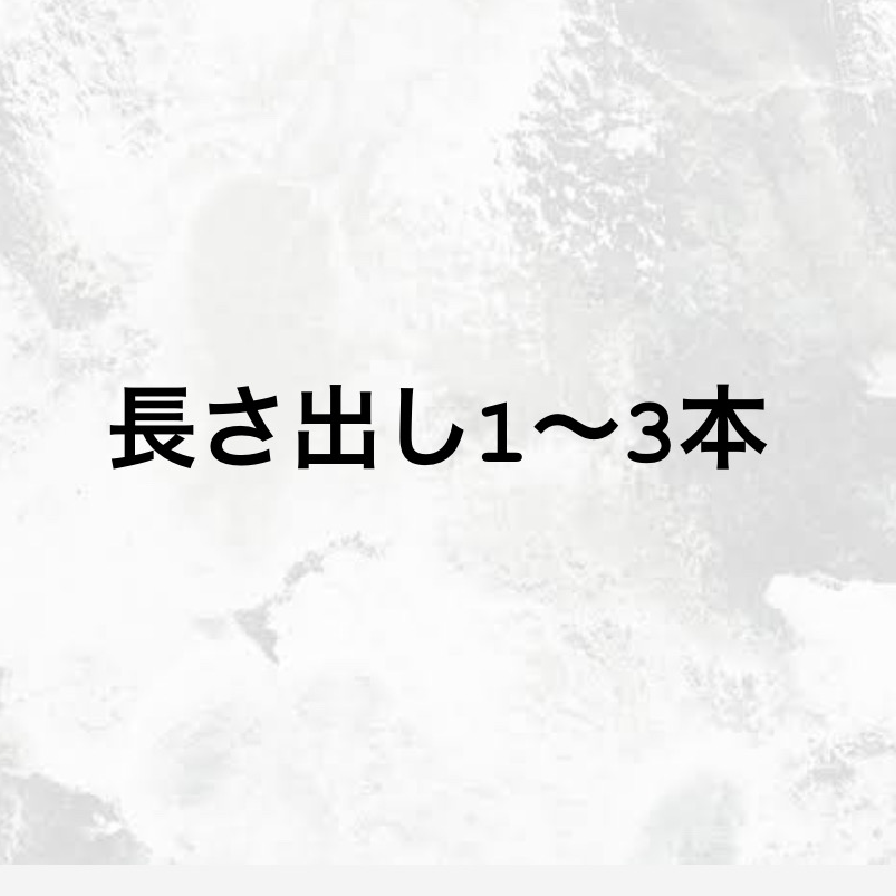 長さor補強1〜３本
