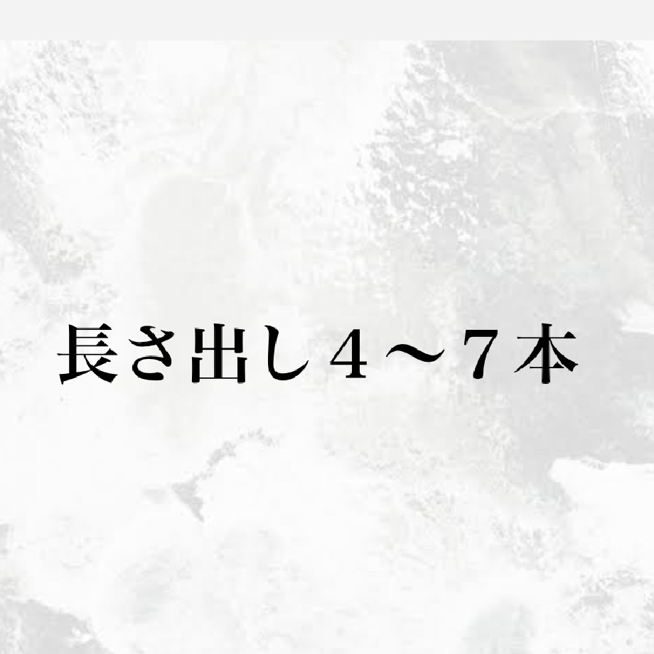 長さ出しor補強4〜7本