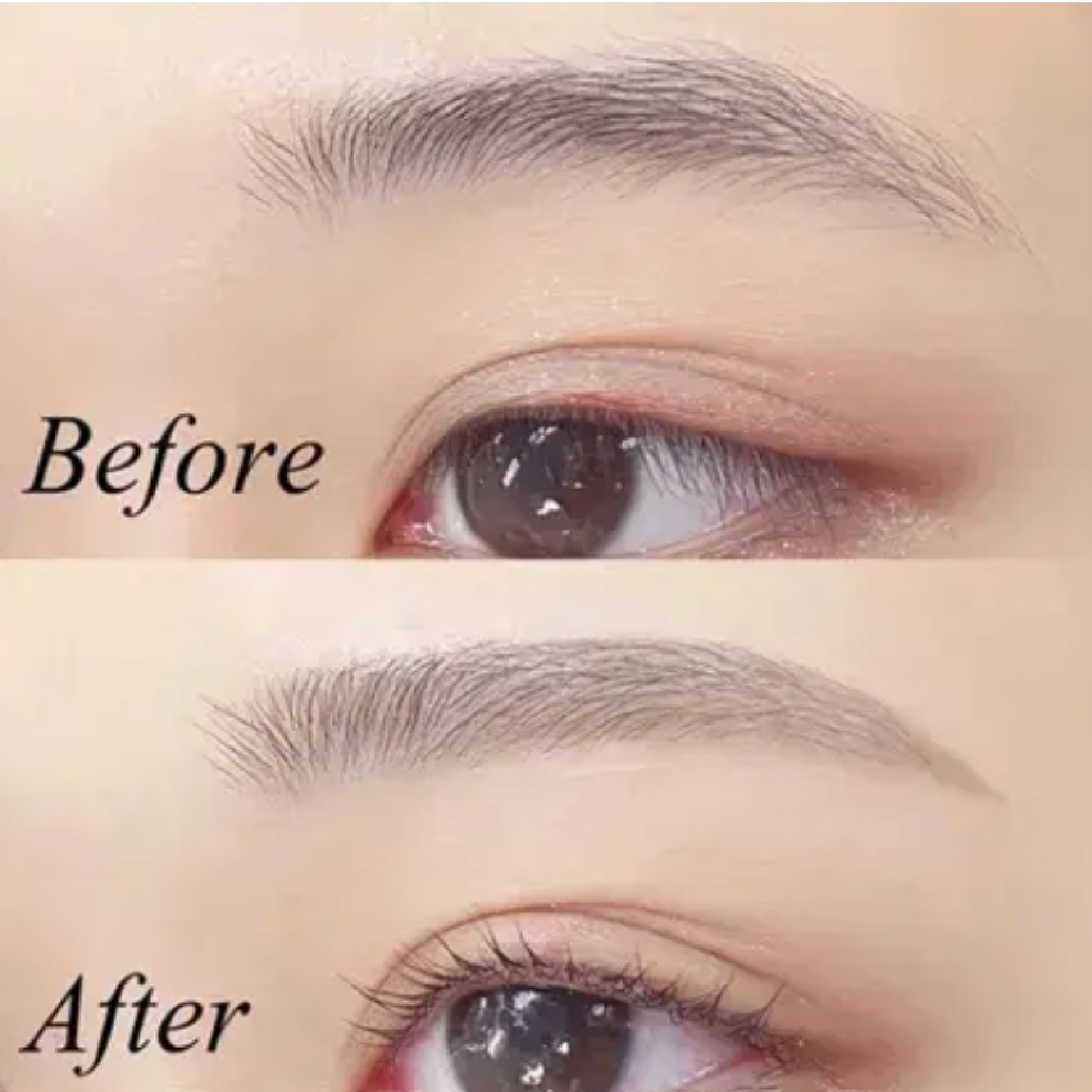 学割U24《持続力⭐️眉毛パーマ》美眉アイブロウWAX+ハリウッドブロウリフト