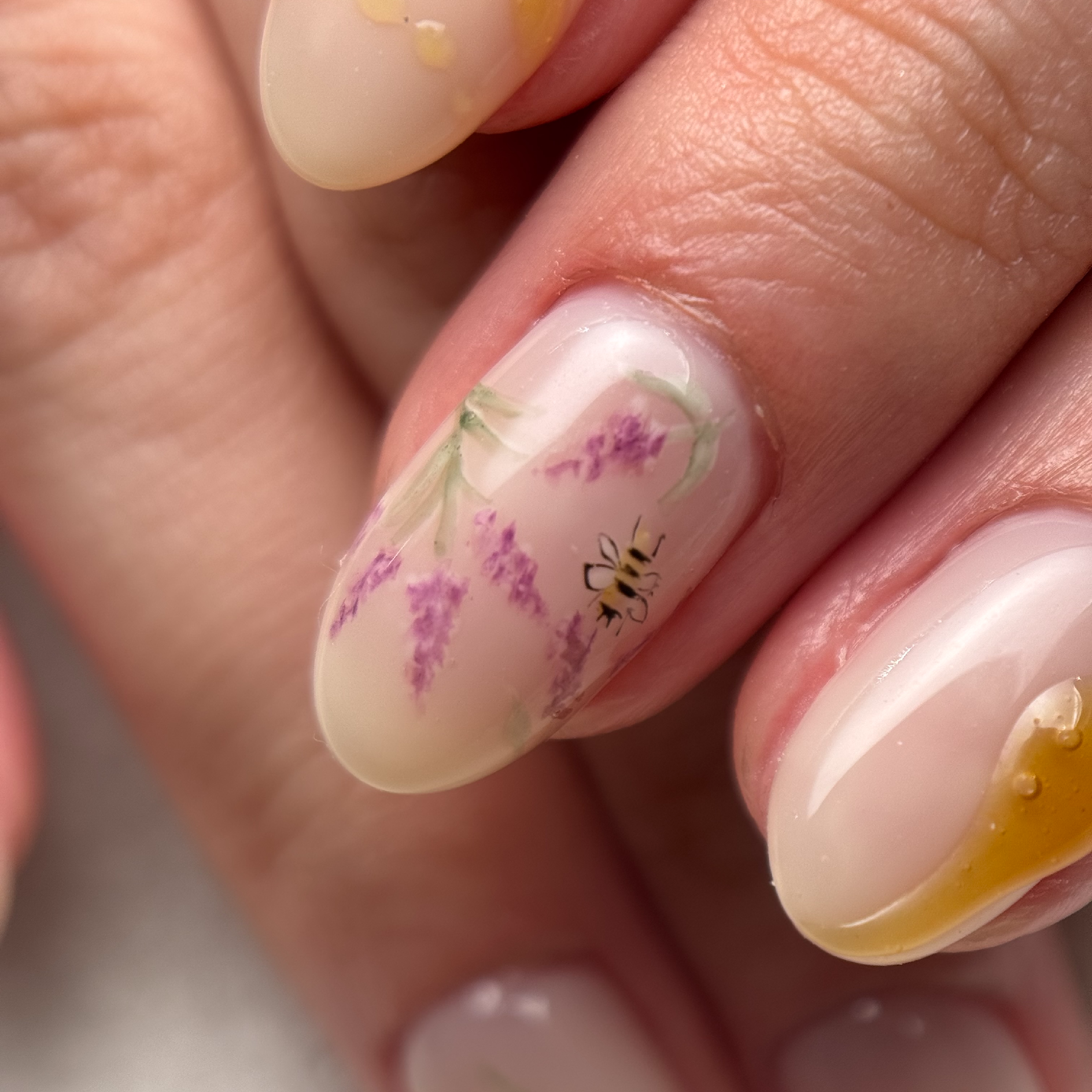 Monthly 定額デザイン