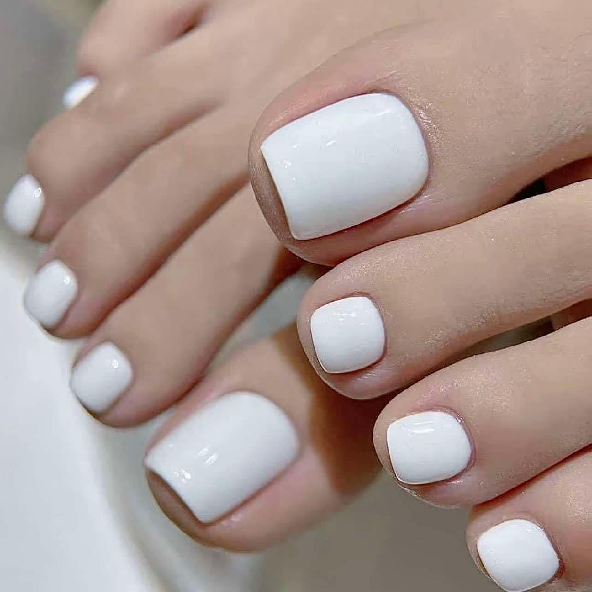 500種類から♪ちゅるんワンカラー