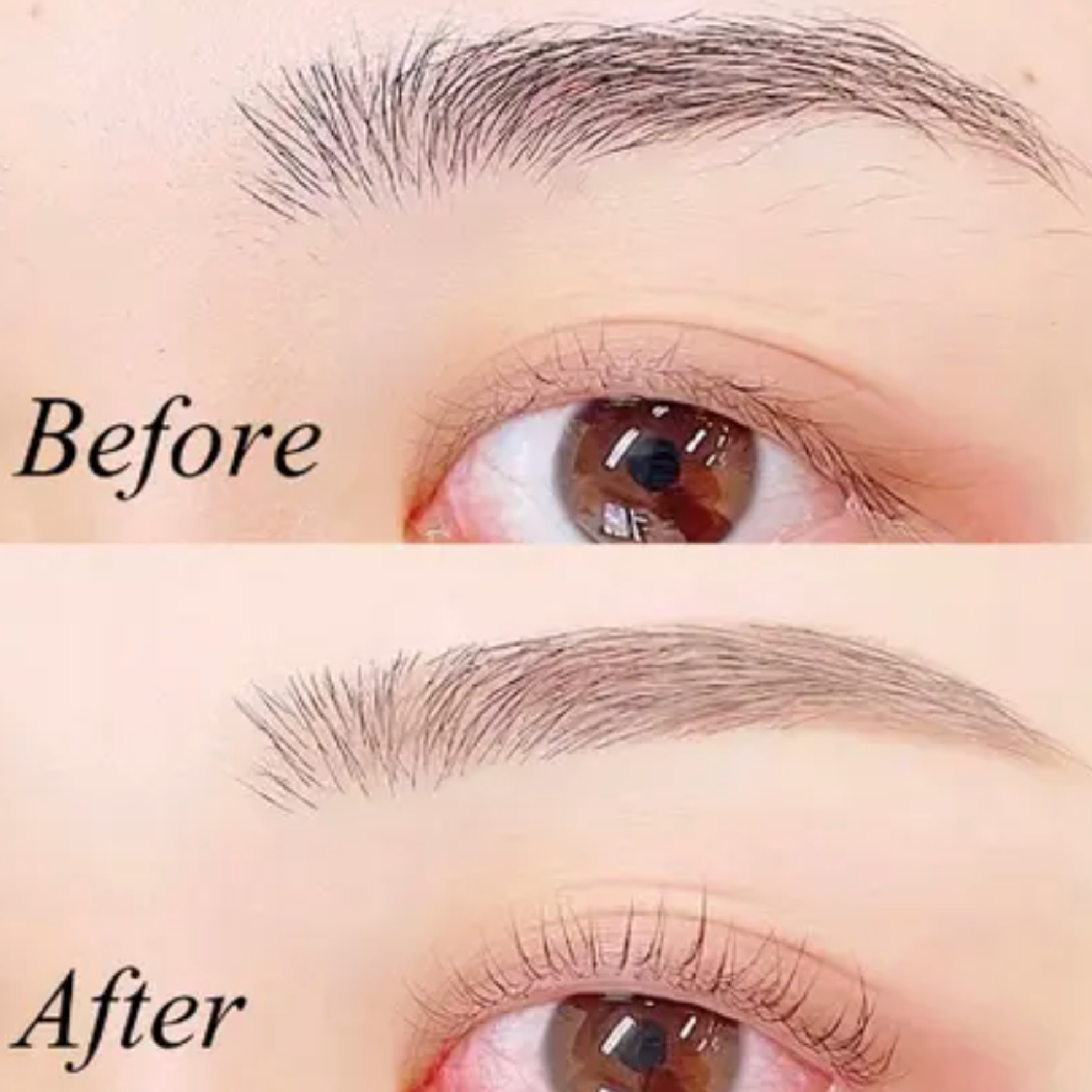 学割U24🎓《ナチュラル眉🌱》美眉アイブロウWAX＋間引き (メイク込）