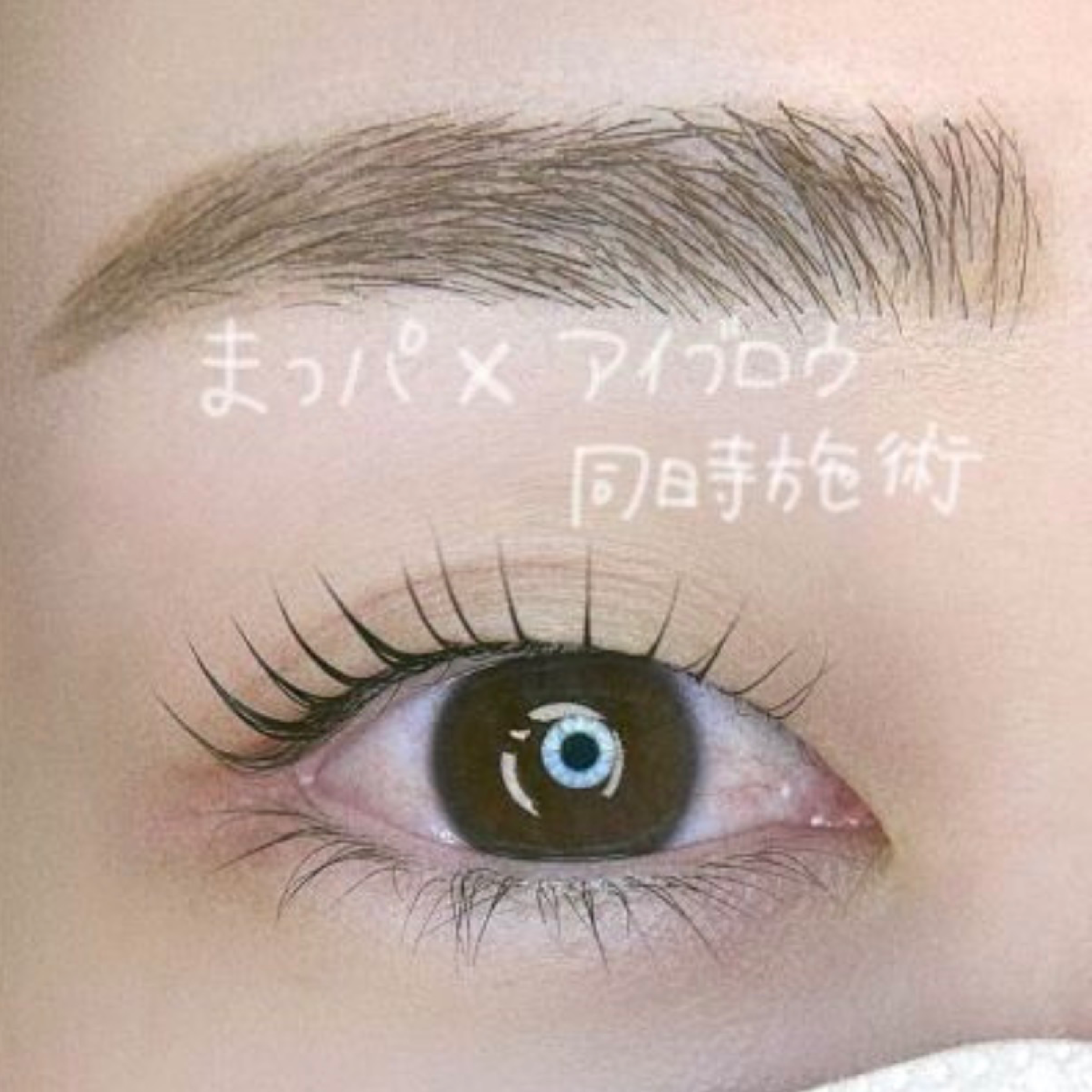 2回目🌷まつ毛パーマorパリジェンヌ＋アイブロウセットメニュー