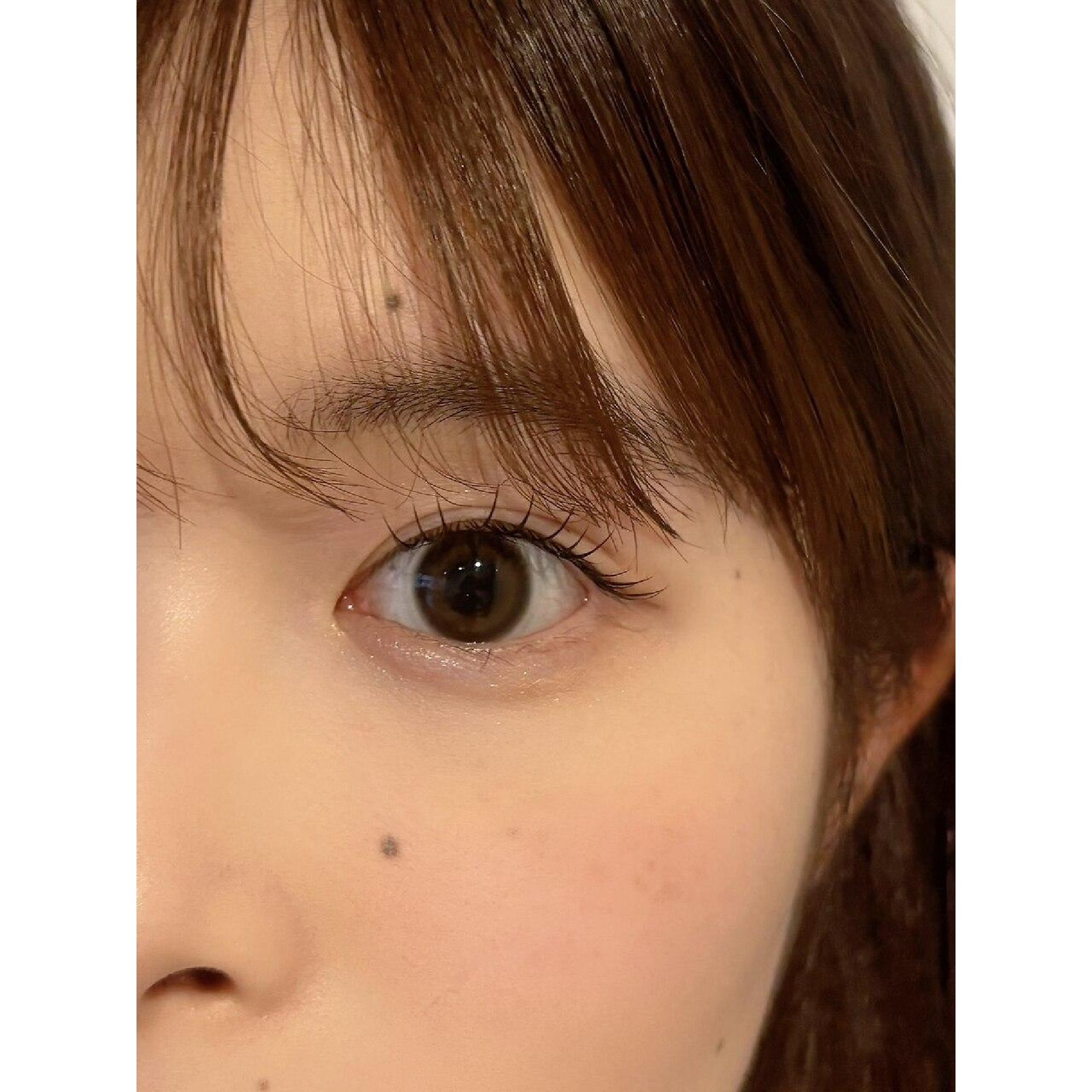【初めての方にオススメ】フラットラッシュ100本/オフ込み¥8400→¥6500