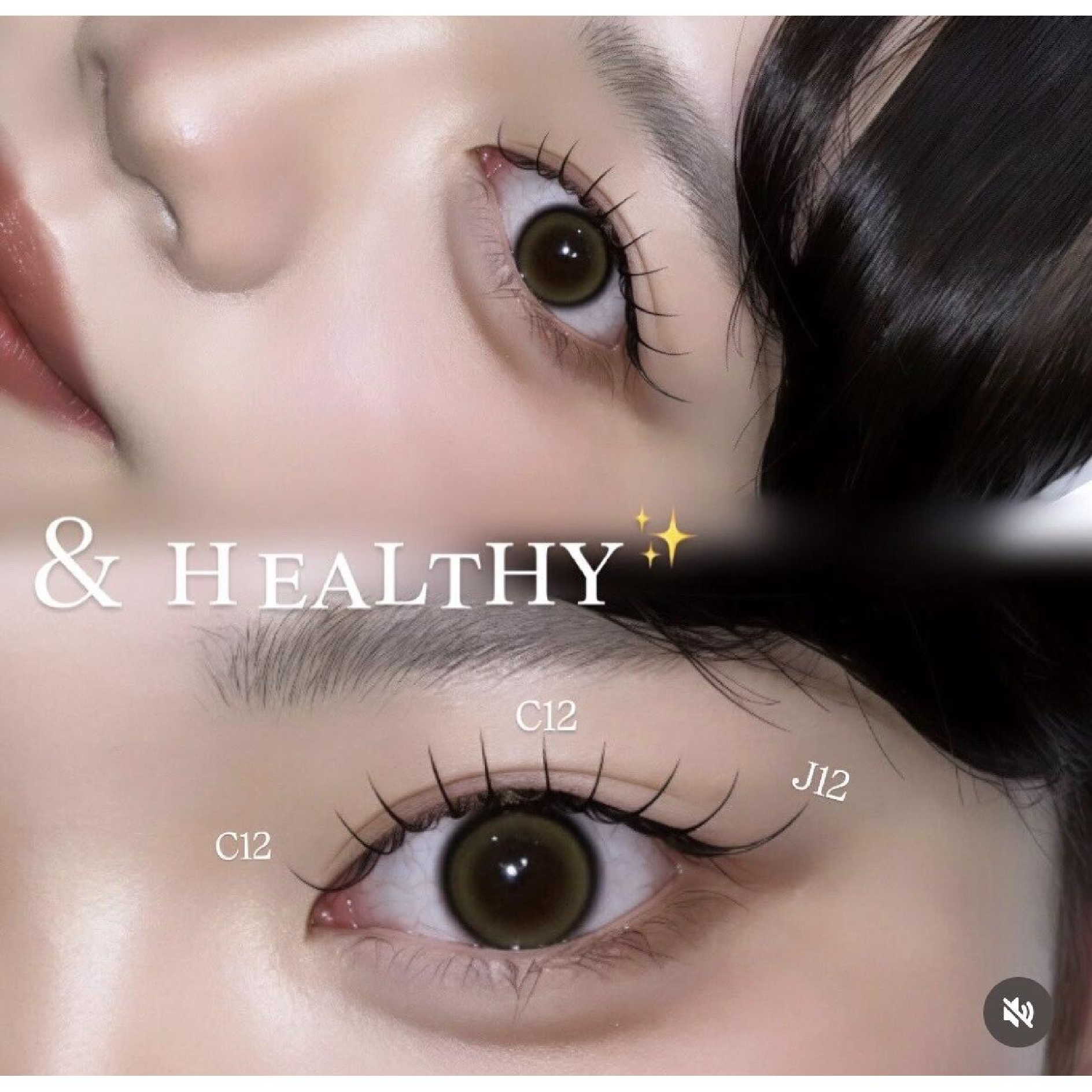 &Healthy 120本　¥14,500→￥7,250