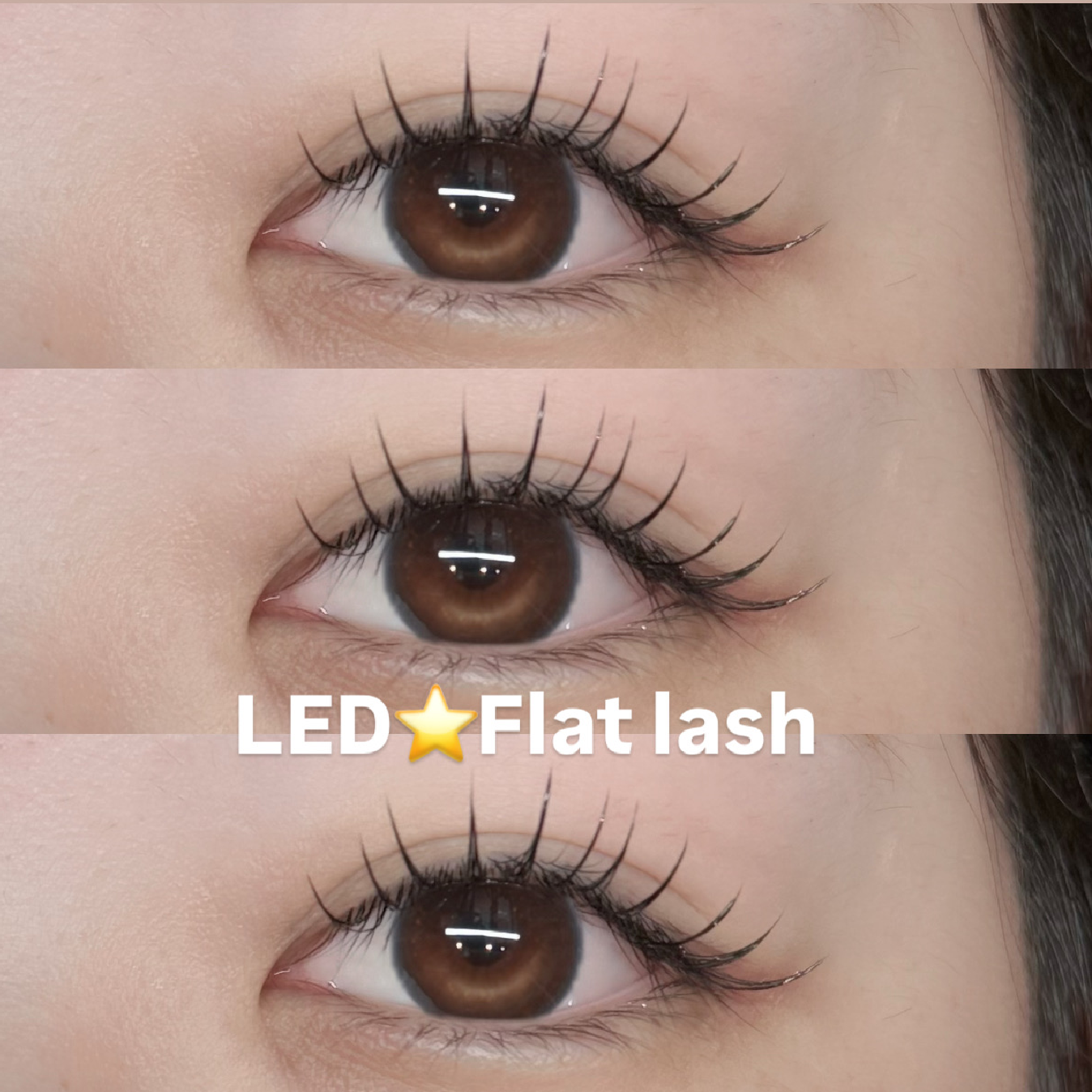 LED⭐️フラットラッシュ100本