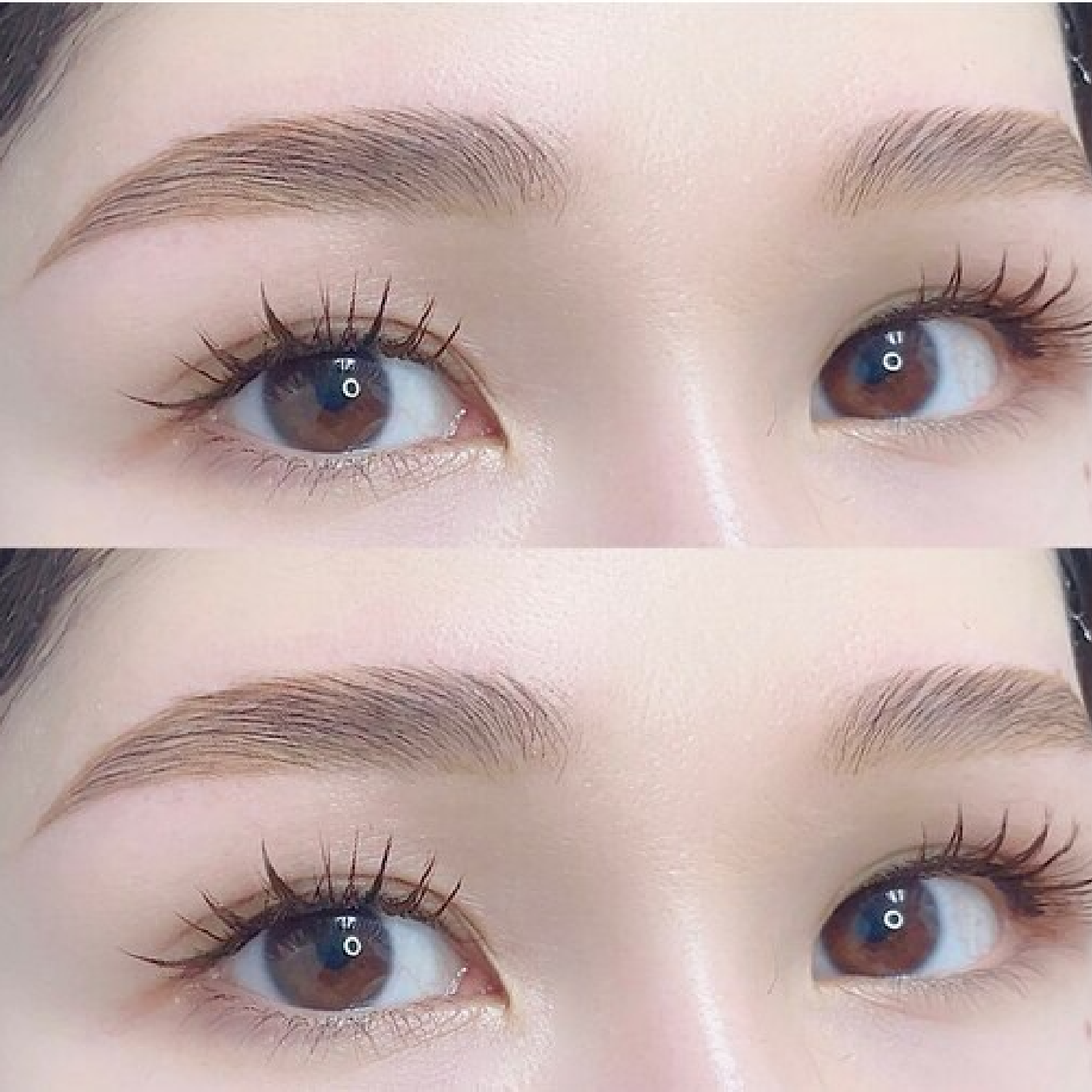 美眉毛アイブロウWAXスタイリング＋毛量調整（間引き）+眉メイク仕上げ