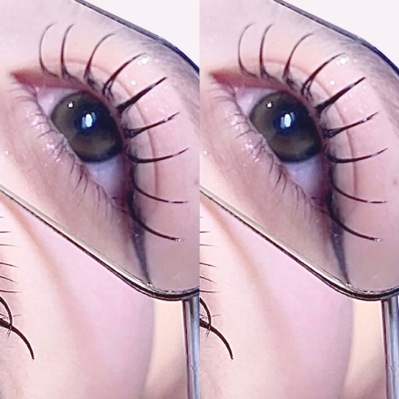 Flat lash 160本 🎀
