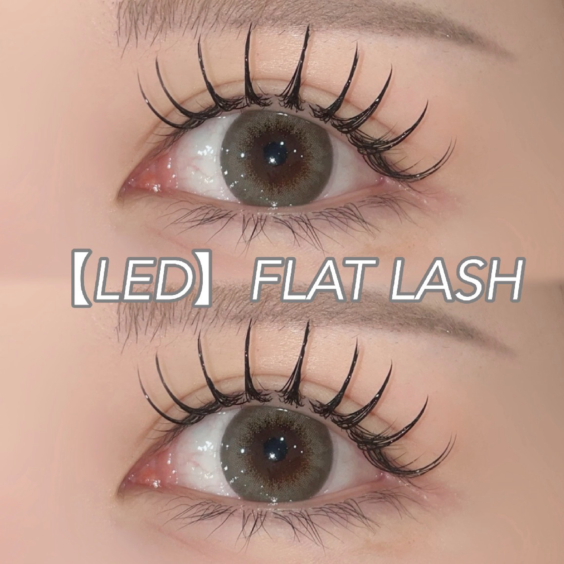 【LEDマツエク】高持続LEDフラットラッシュ100本［オフ込］