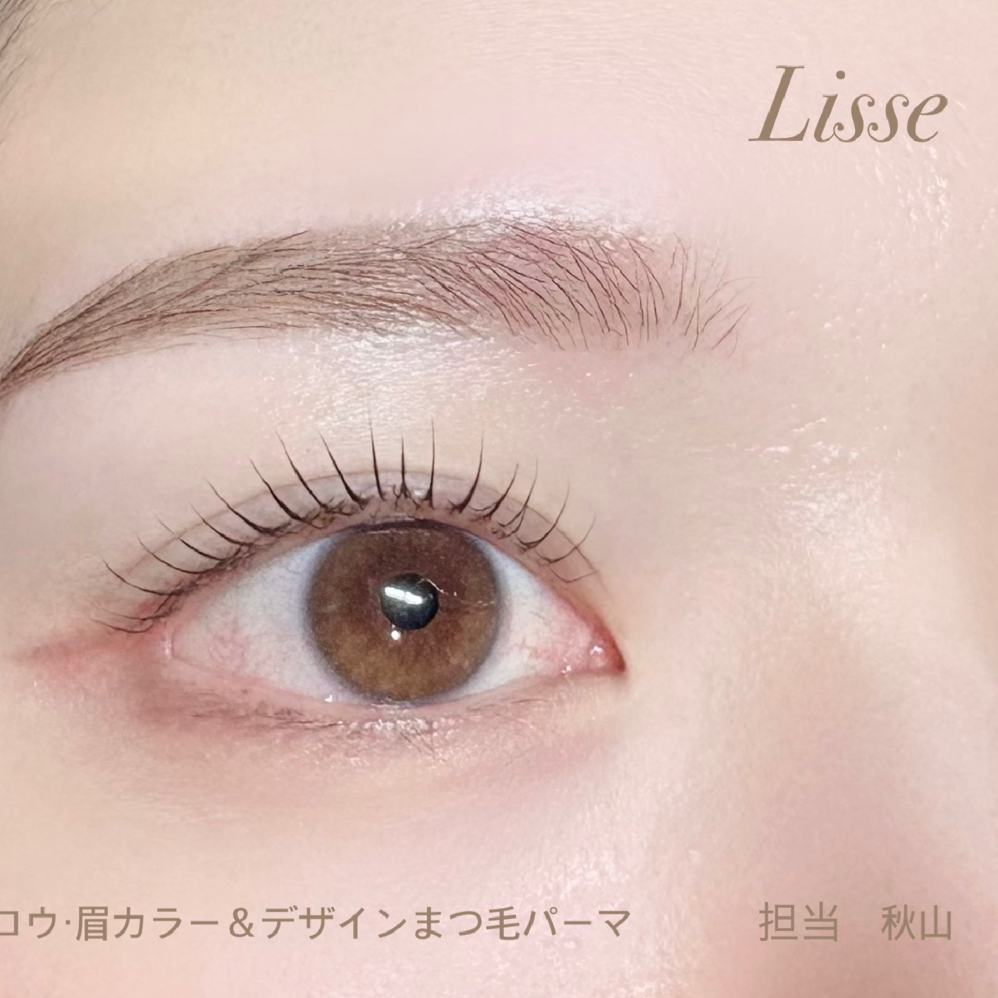 【新規】デザインまつ毛パーマ+美眉アイブロウ　¥12480→