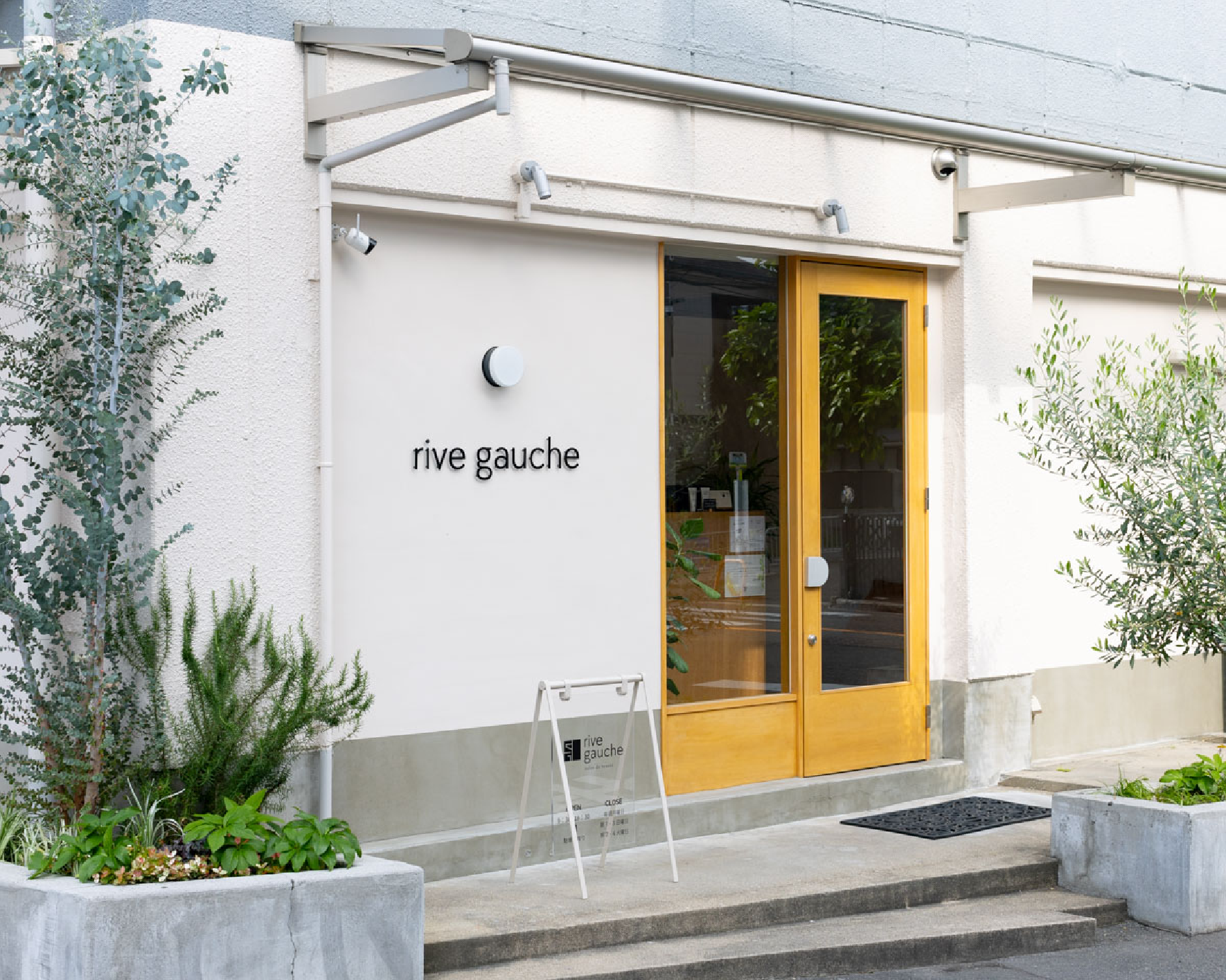 rive gauche