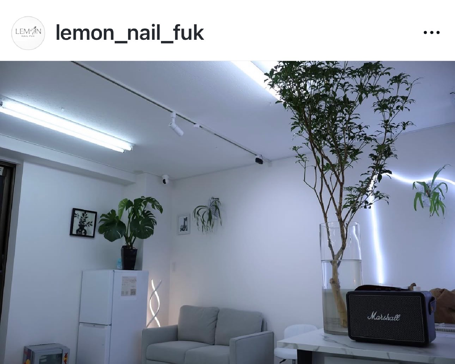 LEMON NAIL FUK