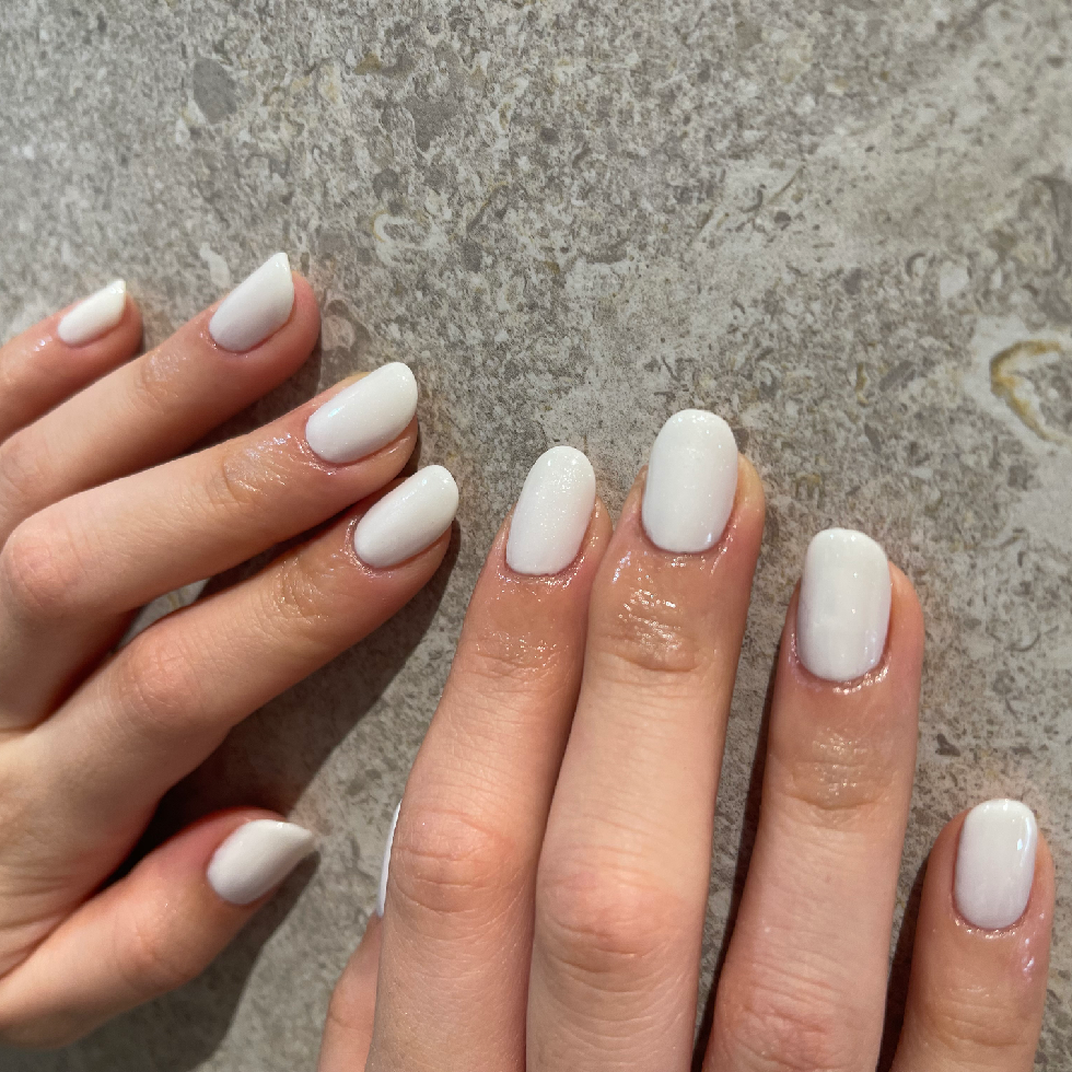 one color  or  gradation