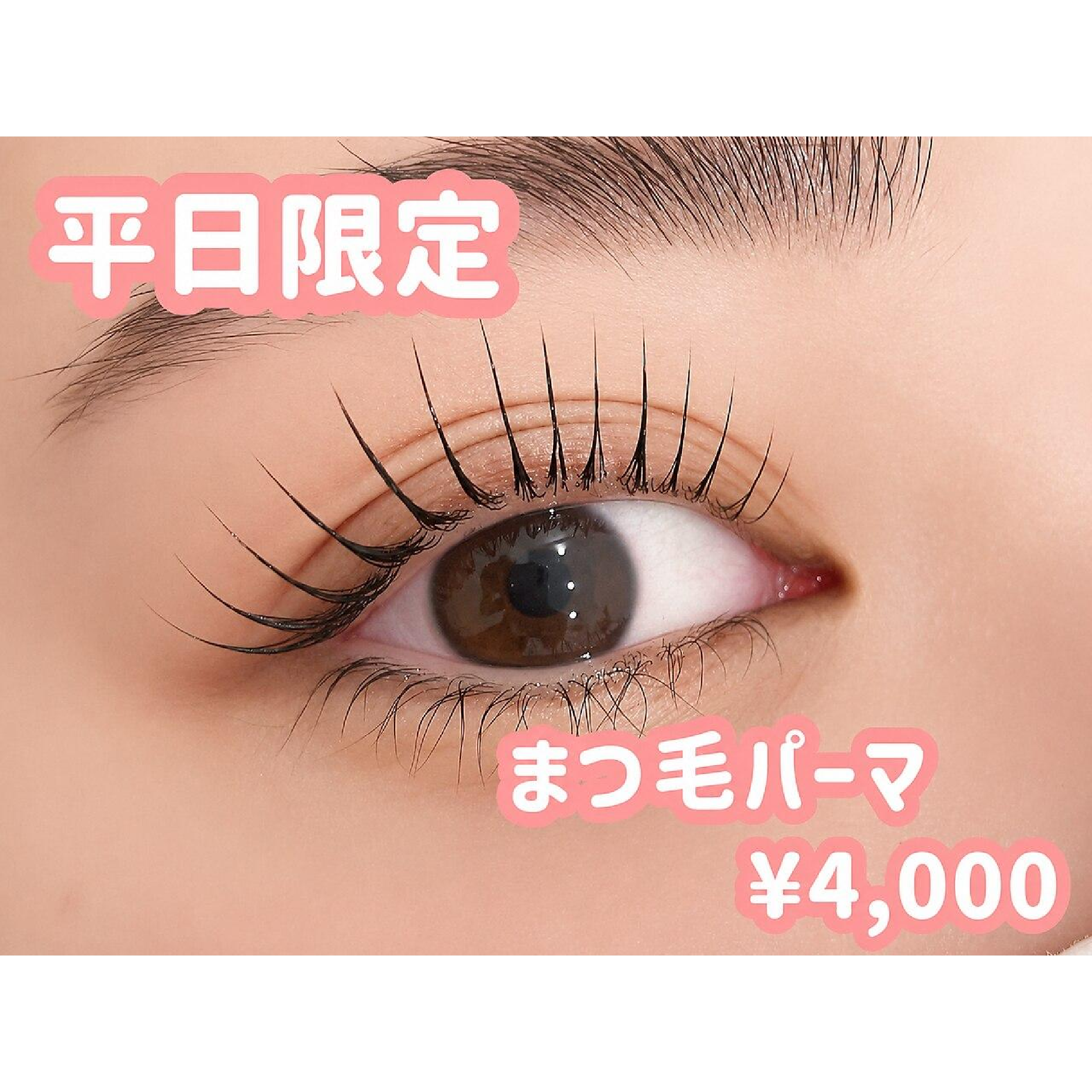 【7月平日限定】束感まつげパーマ￥3900 期間限定でお得に！立川