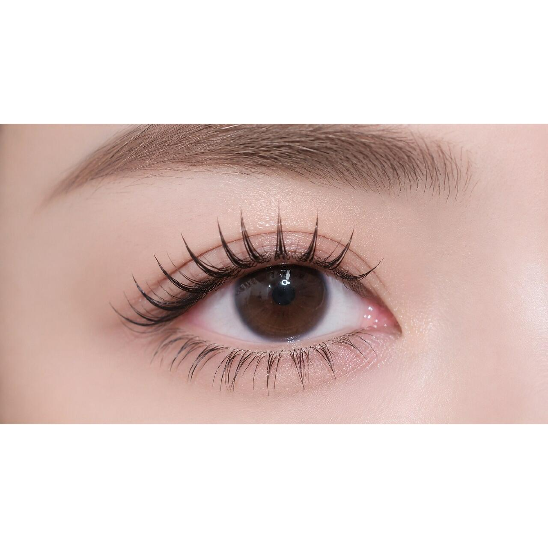 [30日以内]【マツエク】最高級セーブルorフラットラッシュ上付け放題