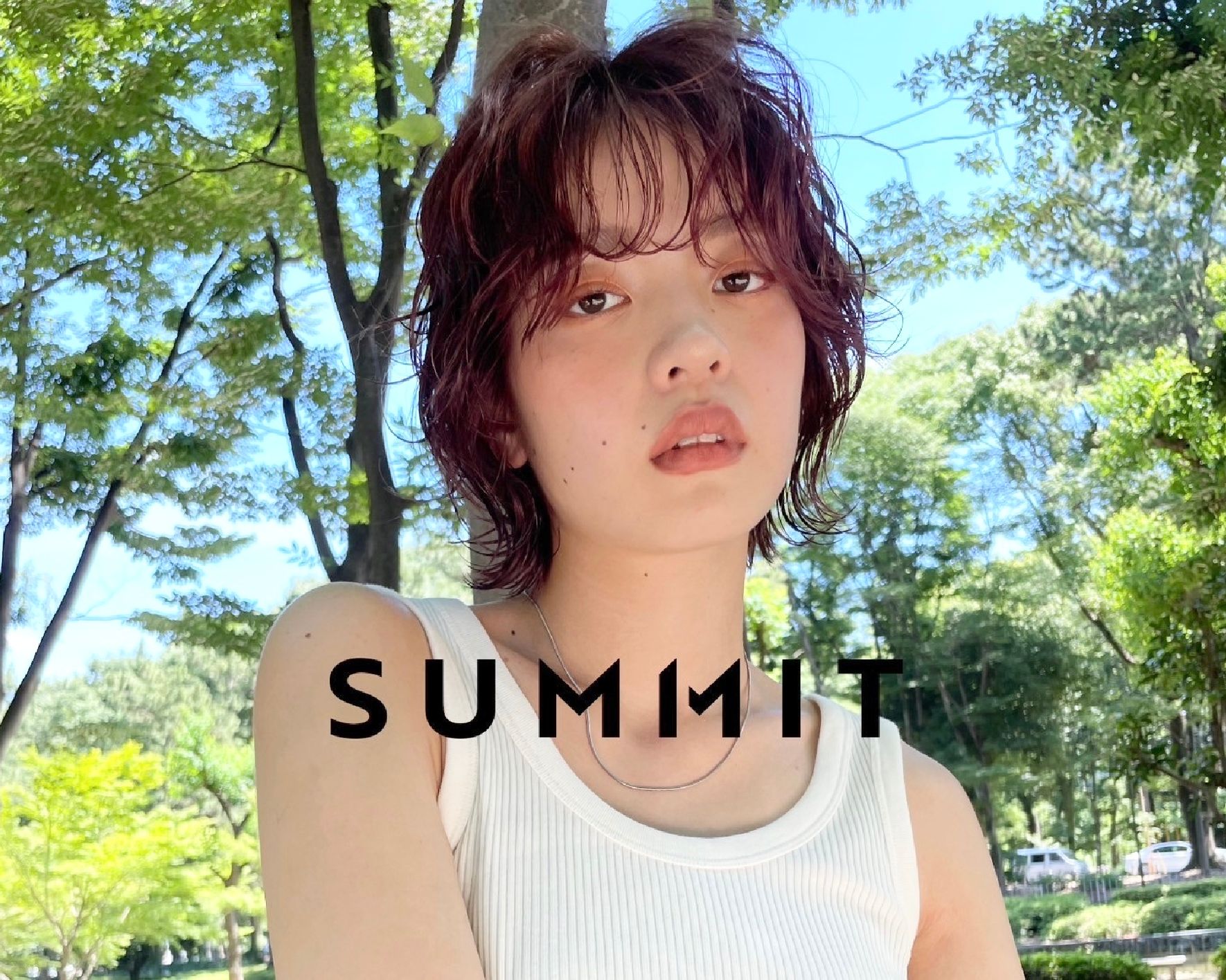 SUMMIT ame.